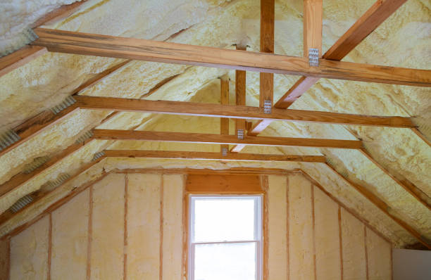Best Specialized Insulation Services in Central City, NE