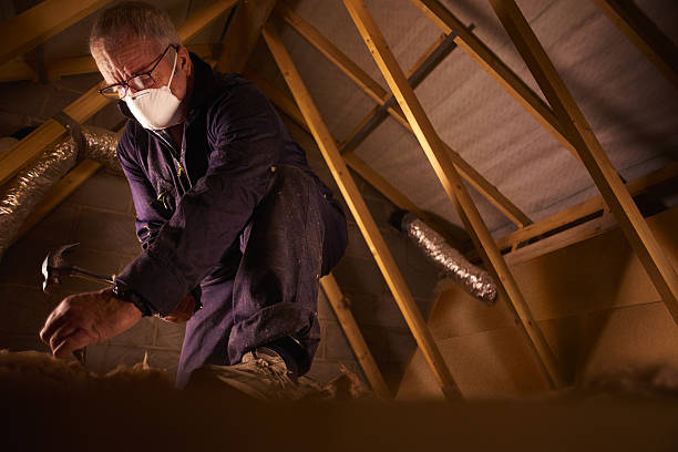 Best Cellulose Insulation in Central City, NE